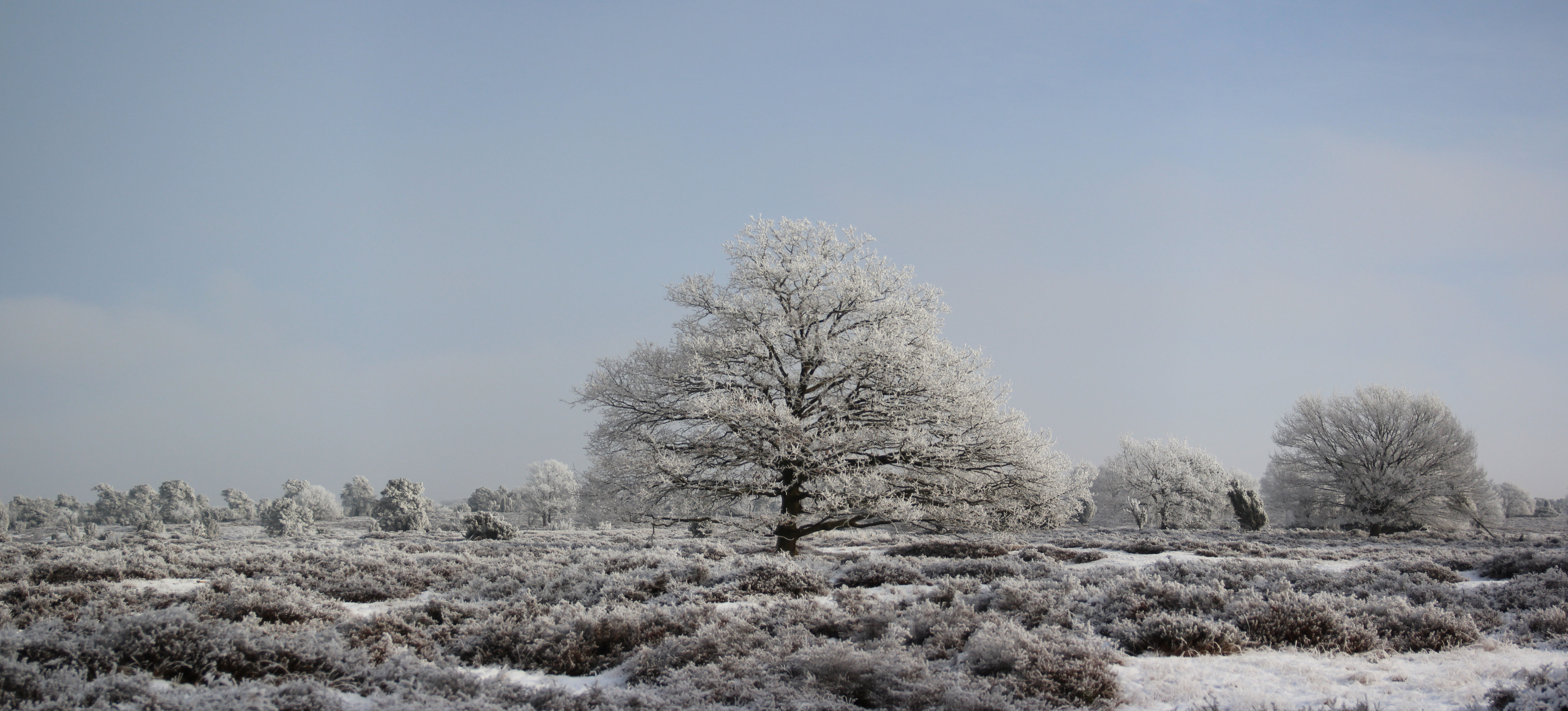 Frozenground (Sands, Drouwen, the Netherlands)